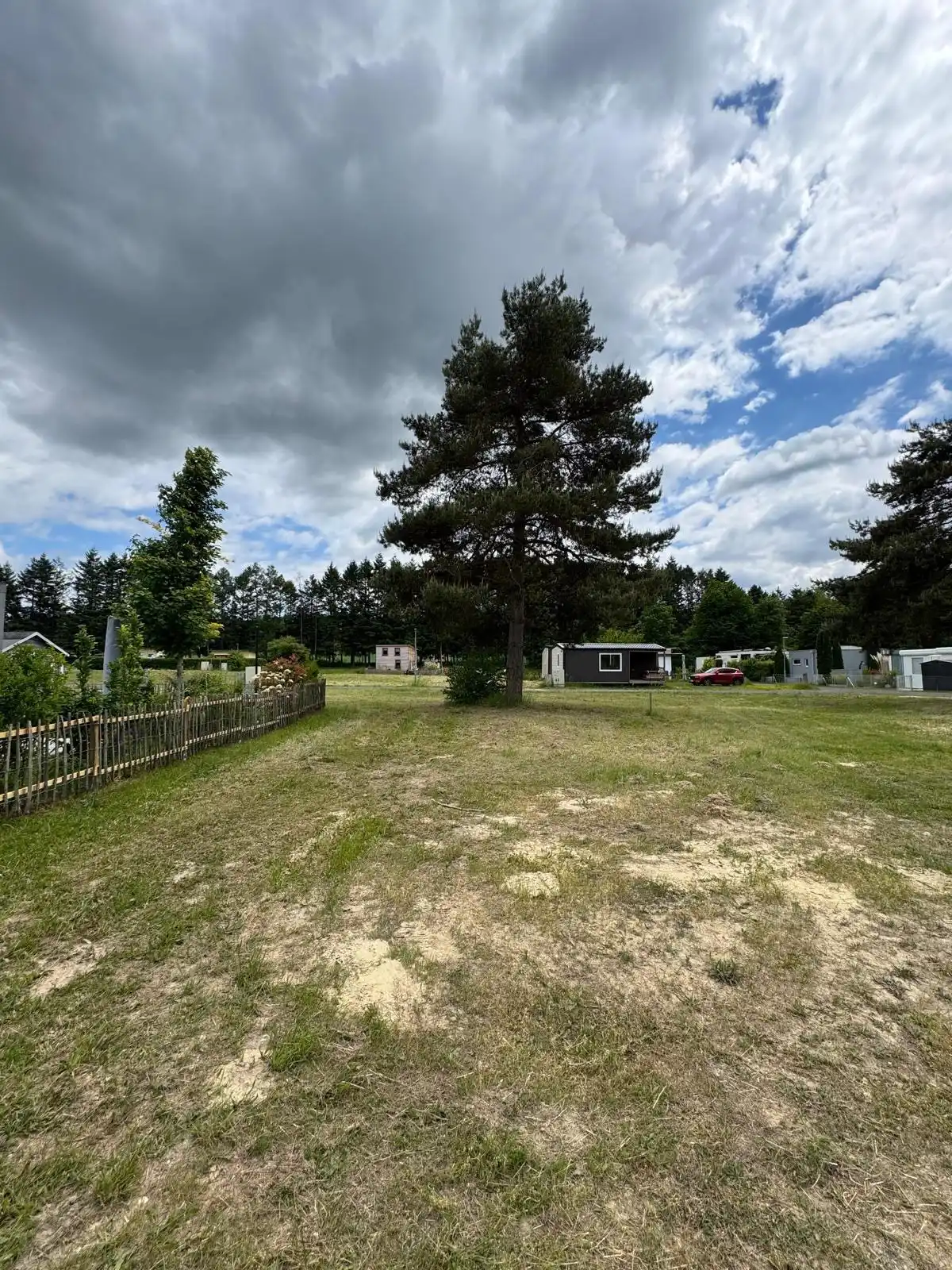 Bagger Wien – EMK Erdbau GmbH – Gartengestalung – Baumpflege – Bodenanpassung